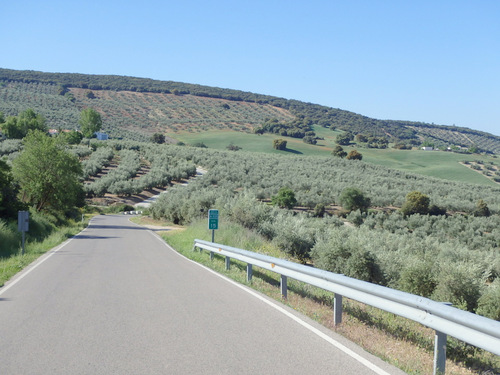 On the road to Montefr&iacute;o.